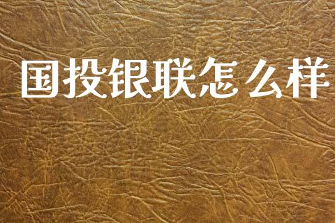 国投银联怎么样_https://m.ycdhulan.com_期货交易_第1张