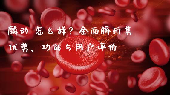 麟动 怎么样？全面解析其优势、功能与用户评价_https://m.ycdhulan.com_证券新闻_第1张