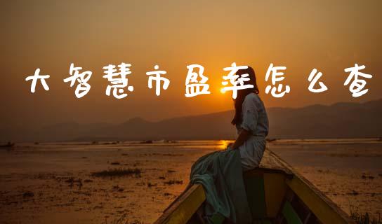 大智慧市盈率怎么查_https://m.ycdhulan.com_股市在线_第1张