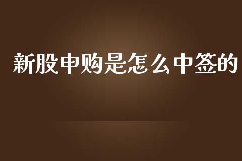 新股申购是怎么中签的_https://m.ycdhulan.com_财经要闻_第1张