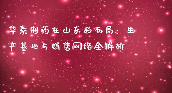 华素制药在山东的布局：生产基地与销售网络全解析_https://m.ycdhulan.com_理财产品_第1张