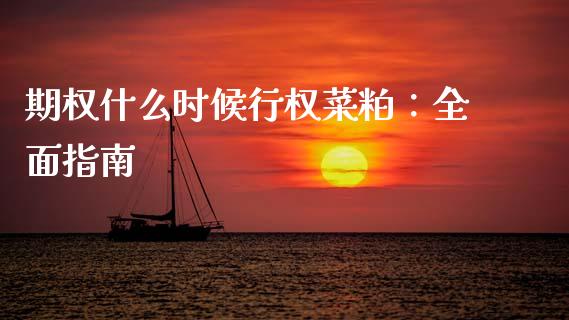 期权什么时候行权菜粕：全面指南_https://m.ycdhulan.com_国际金融_第1张