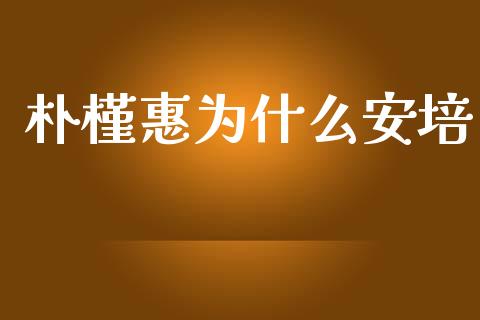 朴槿惠为什么安培_https://m.ycdhulan.com_股市在线_第1张