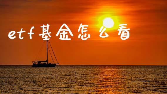 etf基金怎么看_https://m.ycdhulan.com_国际金融_第1张