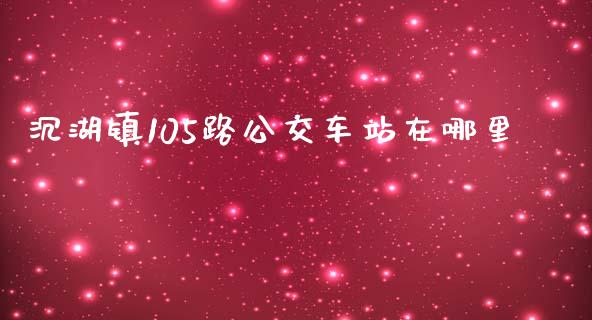 沉湖镇105路公交车站在哪里_https://m.ycdhulan.com_股市在线_第1张