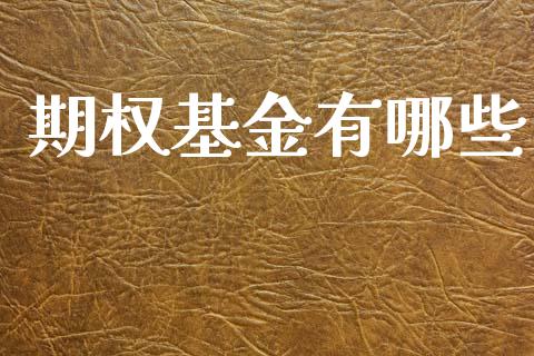 期权基金有哪些_https://m.ycdhulan.com_国际金融_第1张