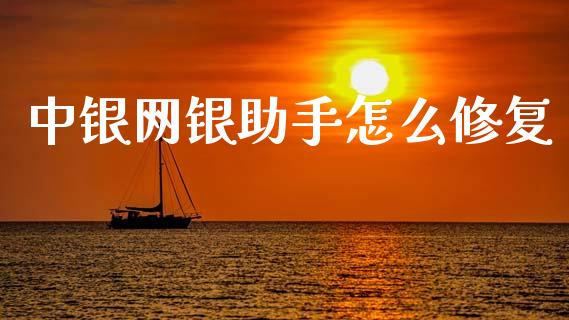 中银网银助手怎么修复_https://m.ycdhulan.com_国际金融_第1张