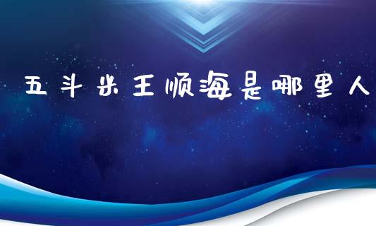 五斗米王顺海是哪里人_https://m.ycdhulan.com_期货交易_第1张