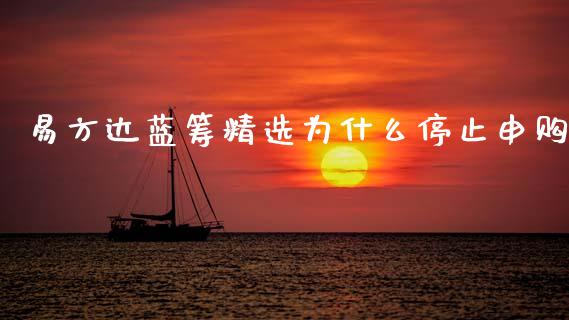 易方达蓝筹精选为什么停止申购_https://m.ycdhulan.com_国际金融_第1张