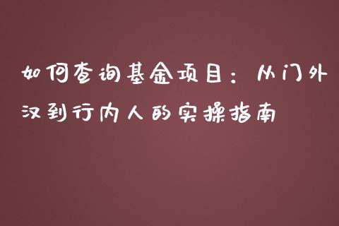 如何查询基金项目：从门外汉到行内人的实操指南_https://m.ycdhulan.com_股市在线_第1张