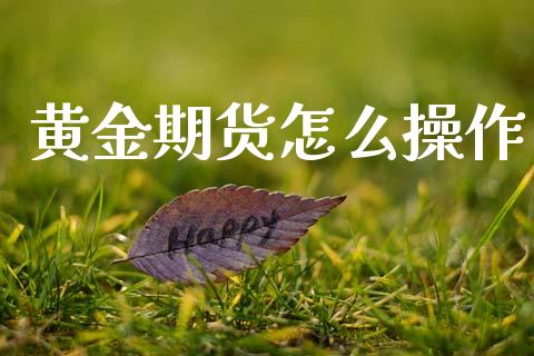 黄金期货怎么操作_https://m.ycdhulan.com_证券新闻_第1张