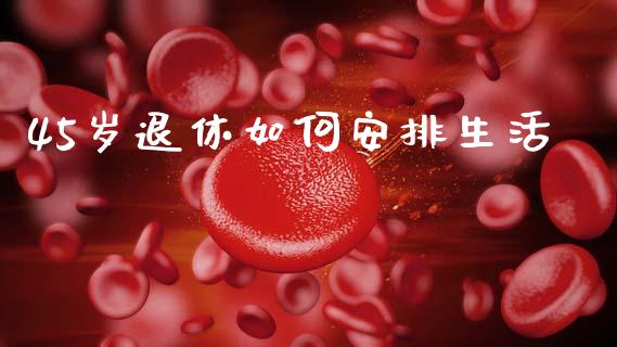45岁退休如何安排生活_https://m.ycdhulan.com_股市在线_第1张