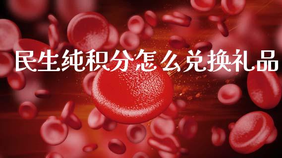 民生纯积分怎么兑换礼品_https://m.ycdhulan.com_国际金融_第1张