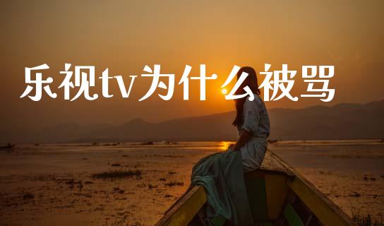 乐视tv为什么被骂_https://m.ycdhulan.com_财经要闻_第1张