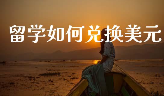 留学如何兑换美元_https://m.ycdhulan.com_财经要闻_第1张