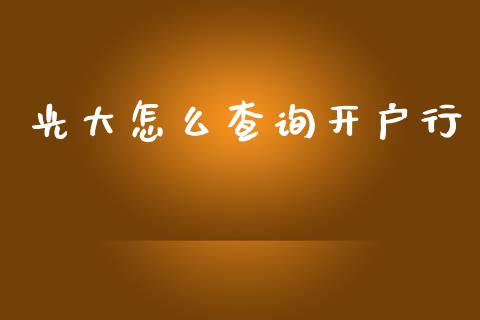光大怎么查询开户行_https://m.ycdhulan.com_期货交易_第1张