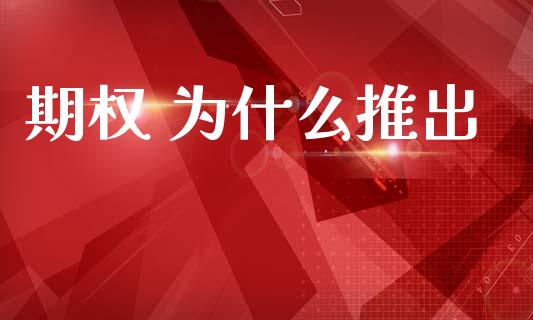 期权 为什么推出_https://m.ycdhulan.com_证券新闻_第1张