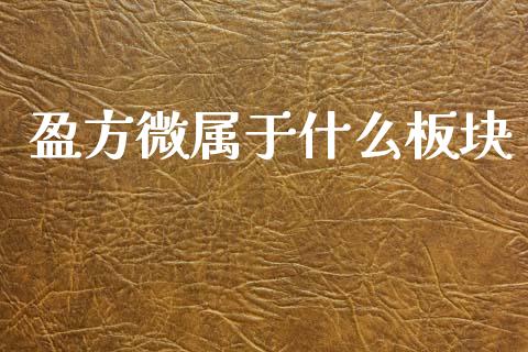 盈方微属于什么板块_https://m.ycdhulan.com_财经要闻_第1张