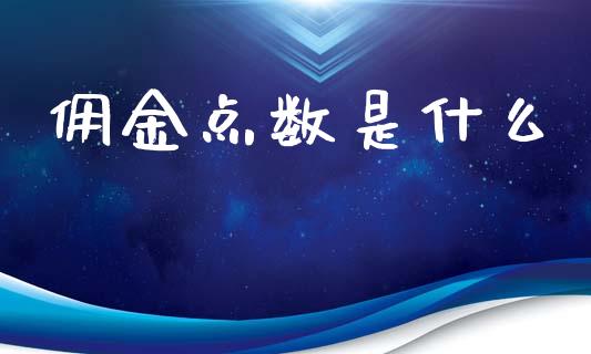 佣金点数是什么_https://m.ycdhulan.com_理财产品_第1张