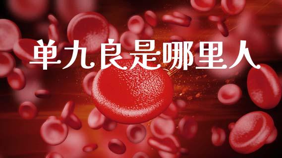 单九良是哪里人_https://m.ycdhulan.com_证券新闻_第1张