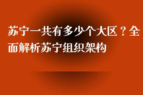 苏宁一共有多少个大区？全面解析苏宁组织架构_https://m.ycdhulan.com_国际金融_第1张