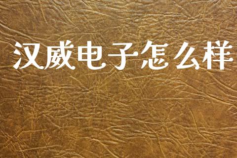 汉威电子怎么样_https://m.ycdhulan.com_财经要闻_第1张