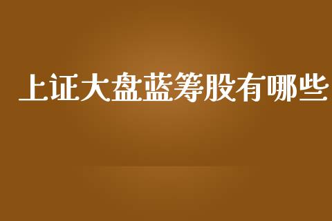 上证大盘蓝筹股有哪些_https://m.ycdhulan.com_证券新闻_第1张