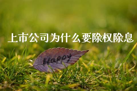 上市公司为什么要除权除息_https://m.ycdhulan.com_股市在线_第1张