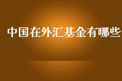中国在外汇基金有哪些_https://m.ycdhulan.com_国际金融_第1张
