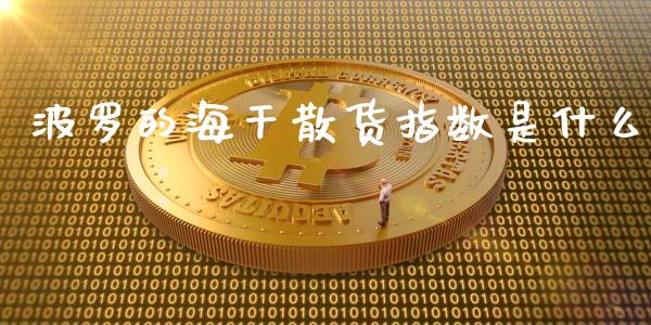 波罗的海干散货指数是什么_https://m.ycdhulan.com_财经要闻_第1张