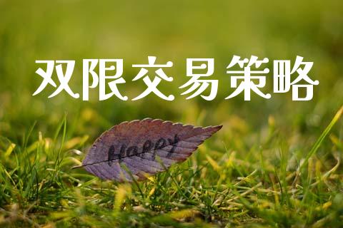 双限交易策略_https://m.ycdhulan.com_股市在线_第1张