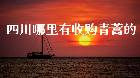 四川哪里有收购青蒿的_https://m.ycdhulan.com_理财产品_第1张