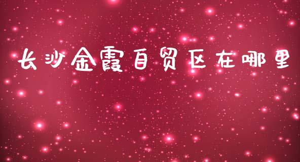 长沙金霞自贸区在哪里_https://m.ycdhulan.com_理财产品_第1张