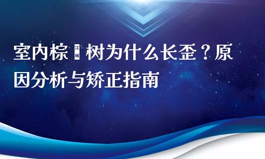 室内棕榈树为什么长歪？原因分析与矫正指南_https://m.ycdhulan.com_证券新闻_第1张
