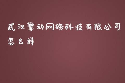 武汉擎动网络科技有限公司怎么样_https://m.ycdhulan.com_财经要闻_第1张