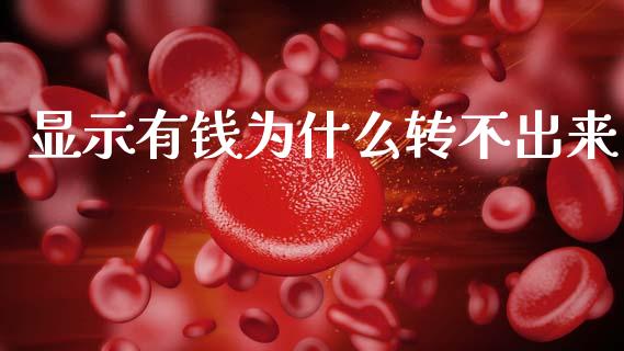 显示有钱为什么转不出来_https://m.ycdhulan.com_理财产品_第1张