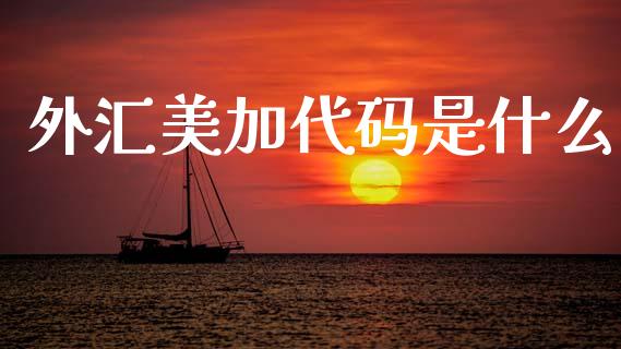 外汇美加代码是什么_https://m.ycdhulan.com_理财产品_第1张