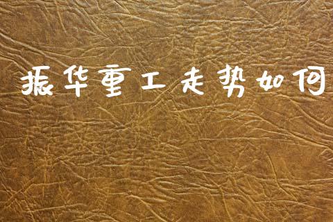 振华重工走势如何_https://m.ycdhulan.com_股市在线_第1张