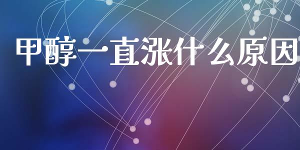 甲醇一直涨什么原因_https://m.ycdhulan.com_期货交易_第1张