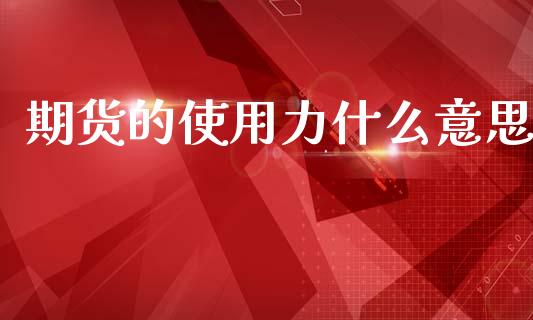 期货的使用力什么意思_https://m.ycdhulan.com_国际金融_第1张