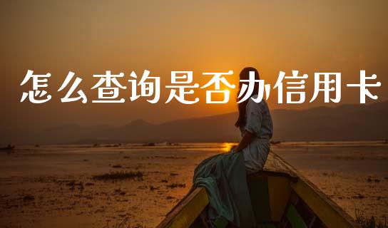 怎么查询是否办信用卡_https://m.ycdhulan.com_理财产品_第1张