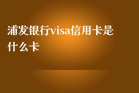 浦发银行visa信用卡是什么卡_https://m.ycdhulan.com_财经要闻_第1张