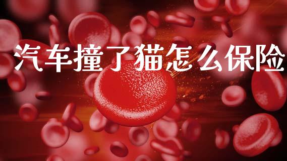汽车撞了猫怎么保险_https://m.ycdhulan.com_理财产品_第1张