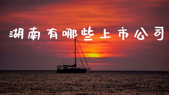 湖南有哪些上市公司_https://m.ycdhulan.com_国际金融_第1张