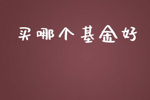 买哪个基金好_https://m.ycdhulan.com_理财产品_第1张