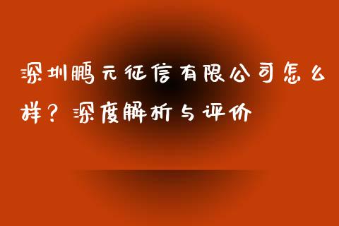 深圳鹏元征信有限公司怎么样？深度解析与评价_https://m.ycdhulan.com_证券新闻_第1张