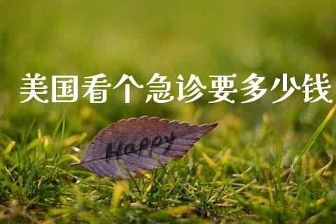 美国看个急诊要多少钱_https://m.ycdhulan.com_财经要闻_第1张