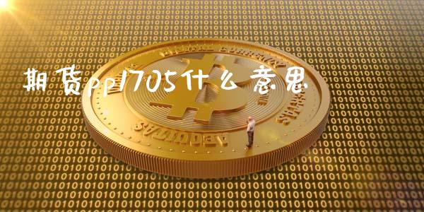 期货pp1705什么意思_https://m.ycdhulan.com_证券新闻_第1张