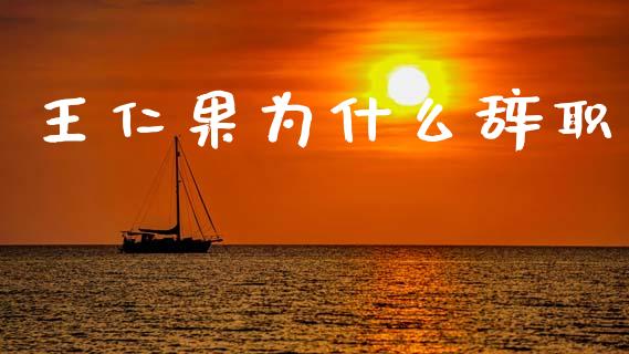 王仁果为什么辞职_https://m.ycdhulan.com_财经要闻_第1张