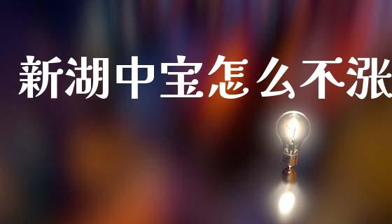 新湖中宝怎么不涨_https://m.ycdhulan.com_国际金融_第1张
